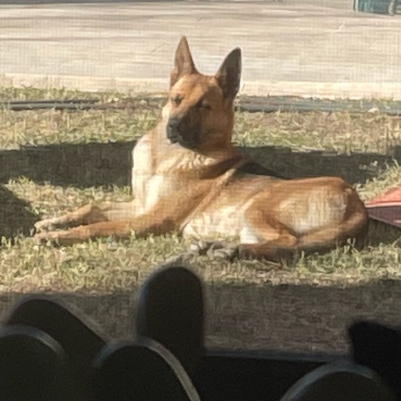 Meet your Posher - Picture 2 of 2